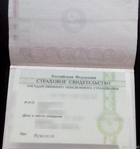 прописка в Первомайске